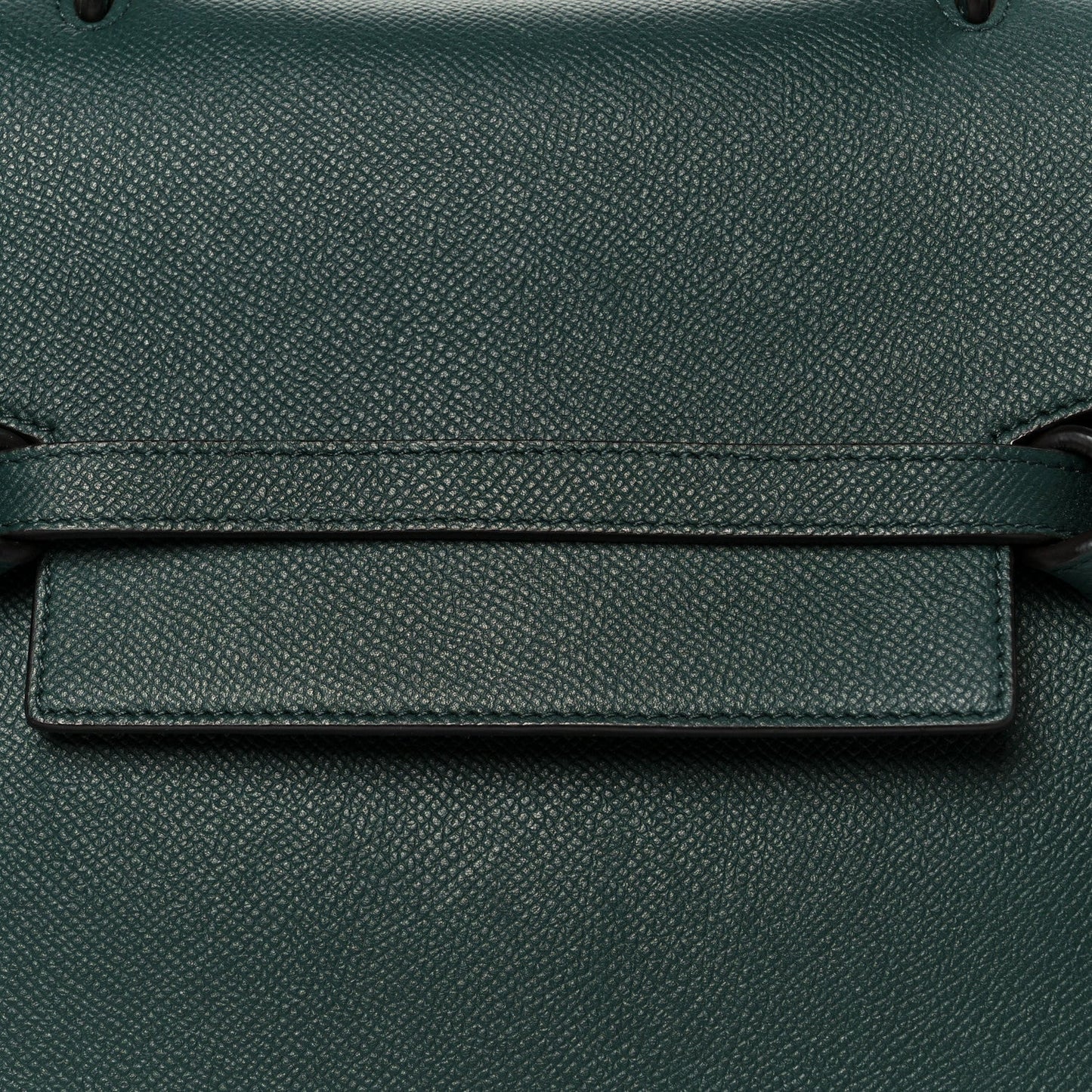 Celine Grained Calfskin Micro Belt Bag Amazone