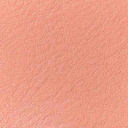 Chloe Calfskin Small Nile Bracelet Minaudiere Bag Ideal Blush