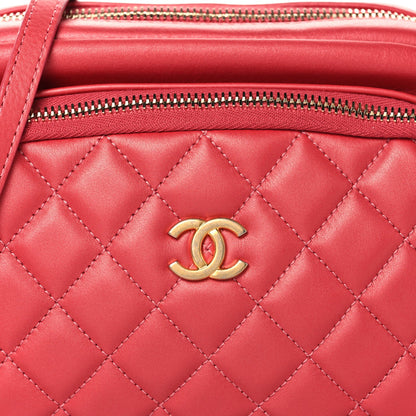 Chanel Calfskin Quilted Day Trips Camera Case Pink