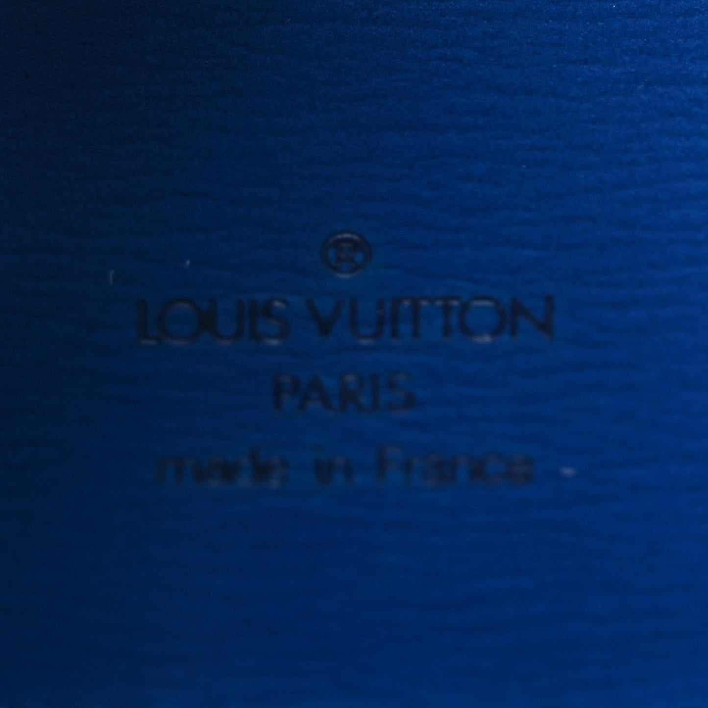 Louis Vuitton Epi Cluny Toledo