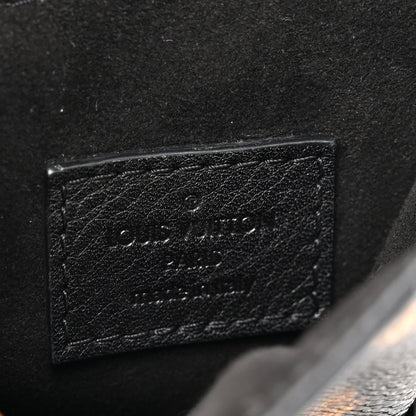 Louis Vuitton Monogram Leopard Camera Box
