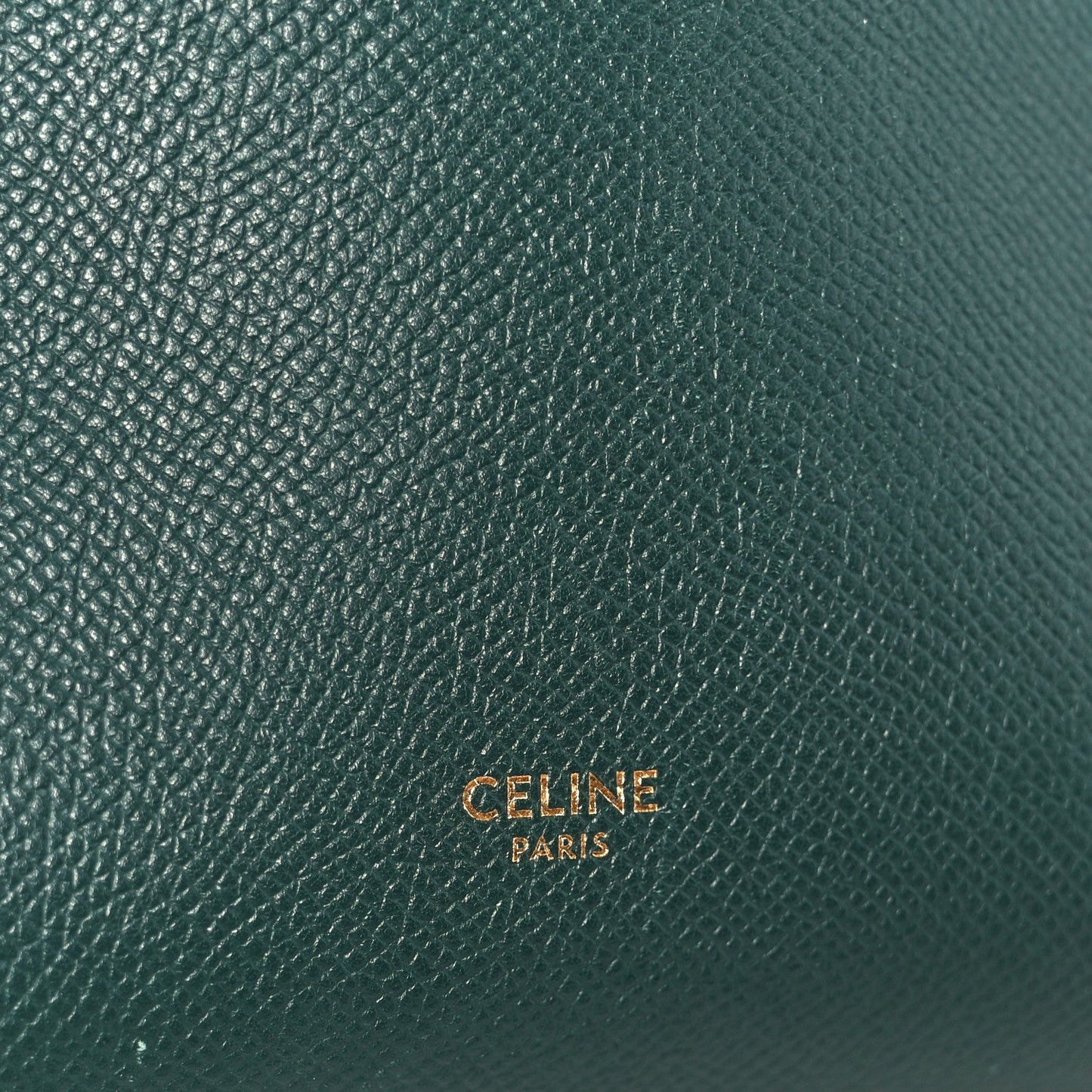 Celine Grained Calfskin Micro Belt Bag Amazone