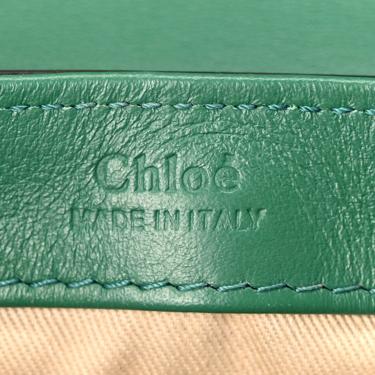 Chloe Calfskin Crocodile Embossed Mini C Double Carry Woodsy Green