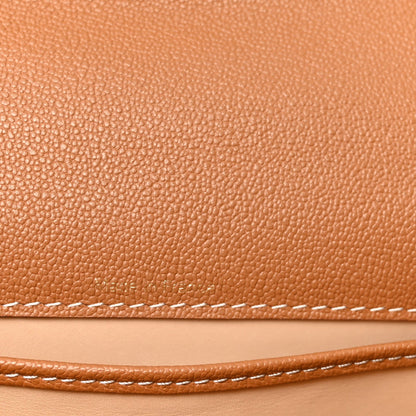 Delvaux Grained Rodeo Calfskin Surpique Mini Brillant Satchel Vegetal Ivory
