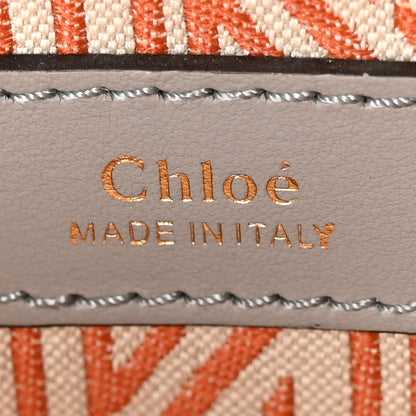 Chloe Calfskin Small Daria Stormy Grey