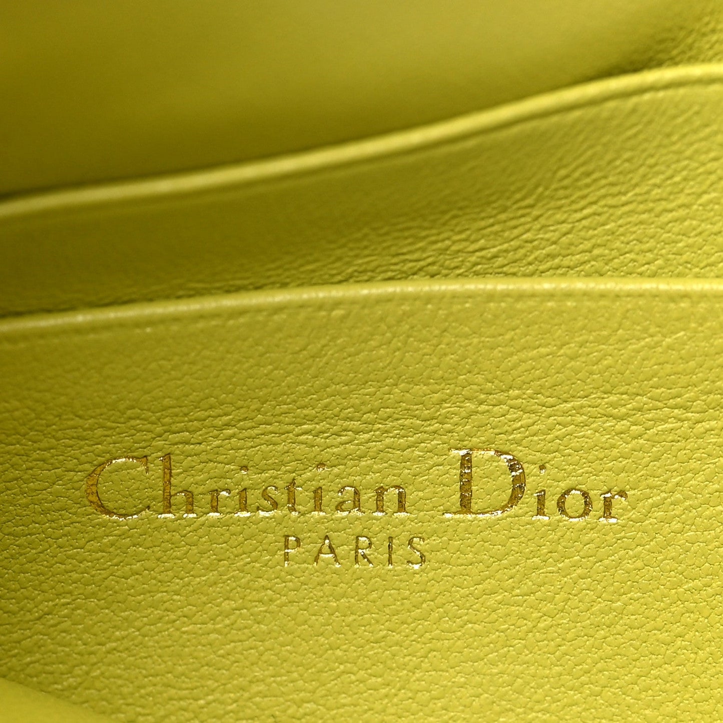 Christian Dior Supple Calfskin Cannage Caro Multifunctional Pouch Lime