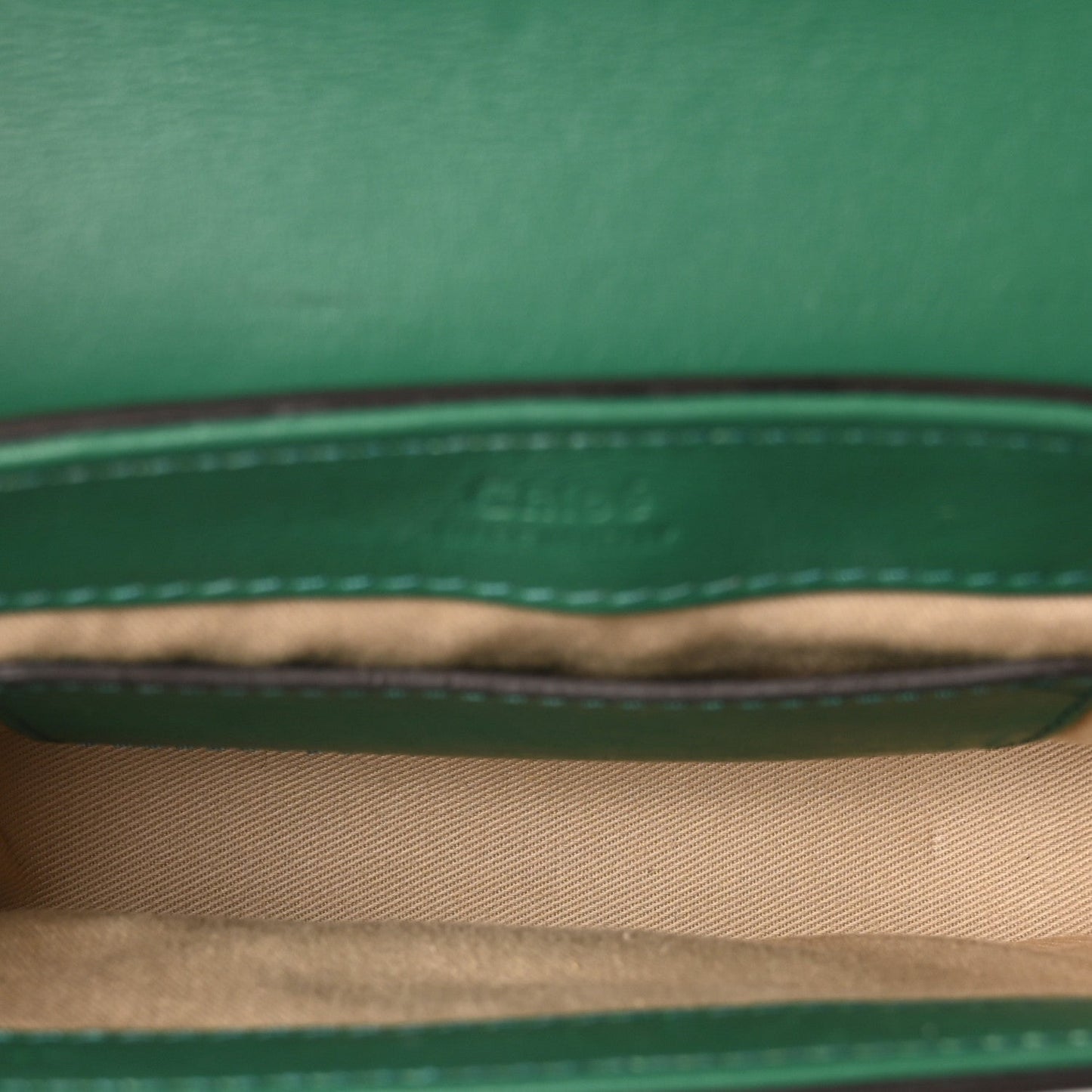 Chloe Calfskin Crocodile Embossed Mini C Double Carry Woodsy Green